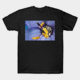 Wildflower Blue T-Shirt